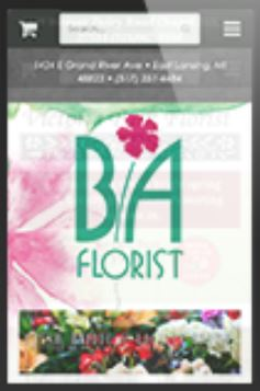 screenshot of Visual Ticket